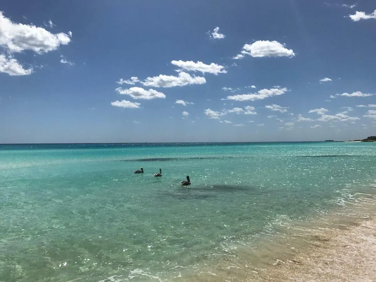 Villa Ikal Playa del Carmen 0*,  Mexiko